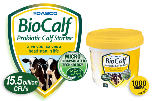 BioCalf – Probiotic Calf Milk Additive