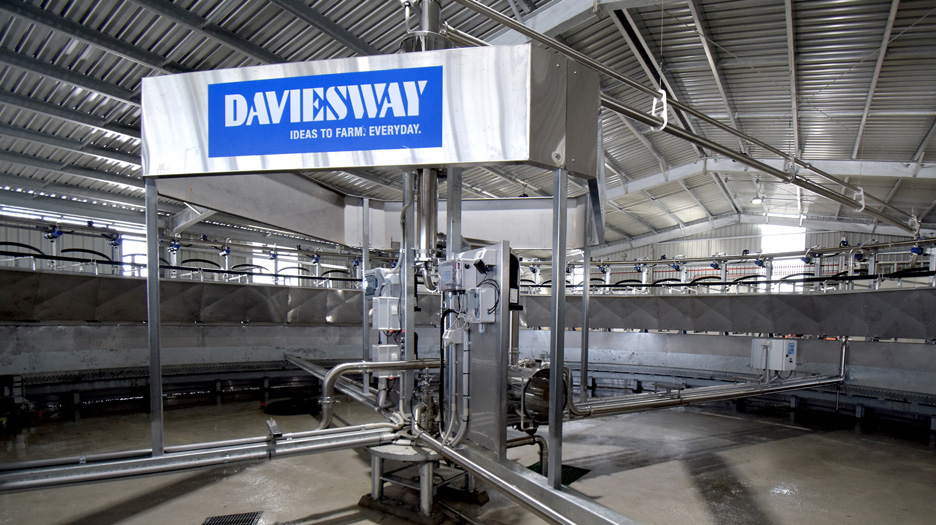 daviesway built rapid exit dairy