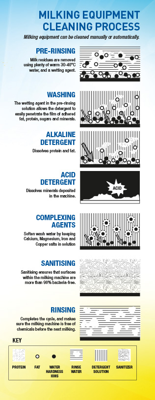 milking equipment cleaning process