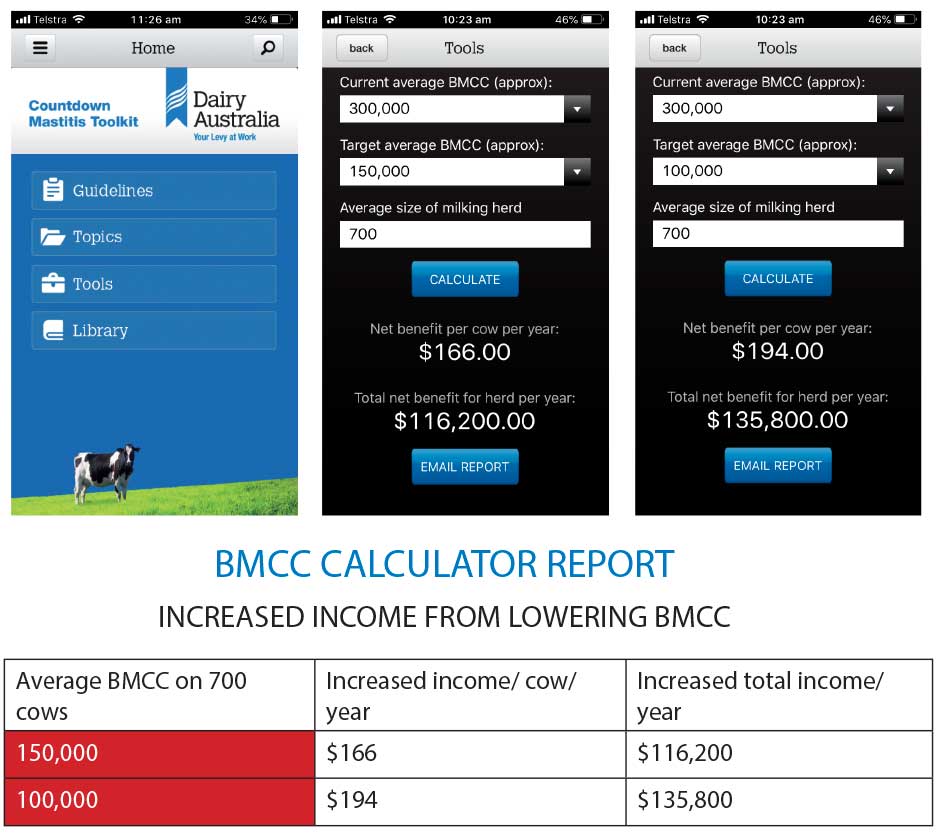 BMCC Calculator Report