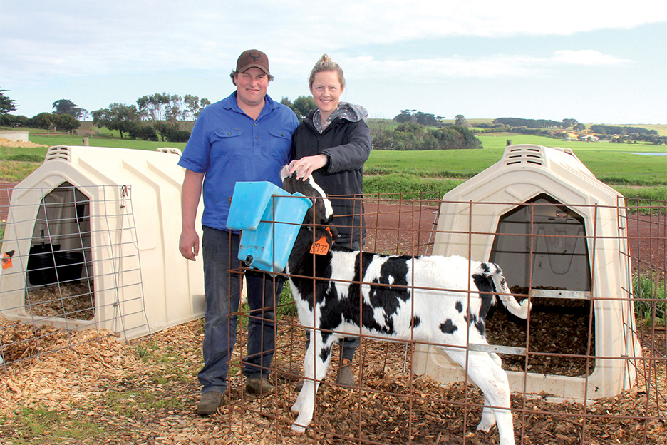 Holloway calf hutches