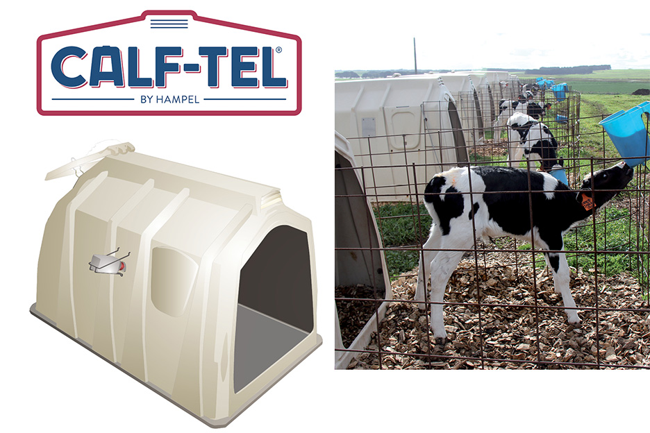 Holloway calf hutches2