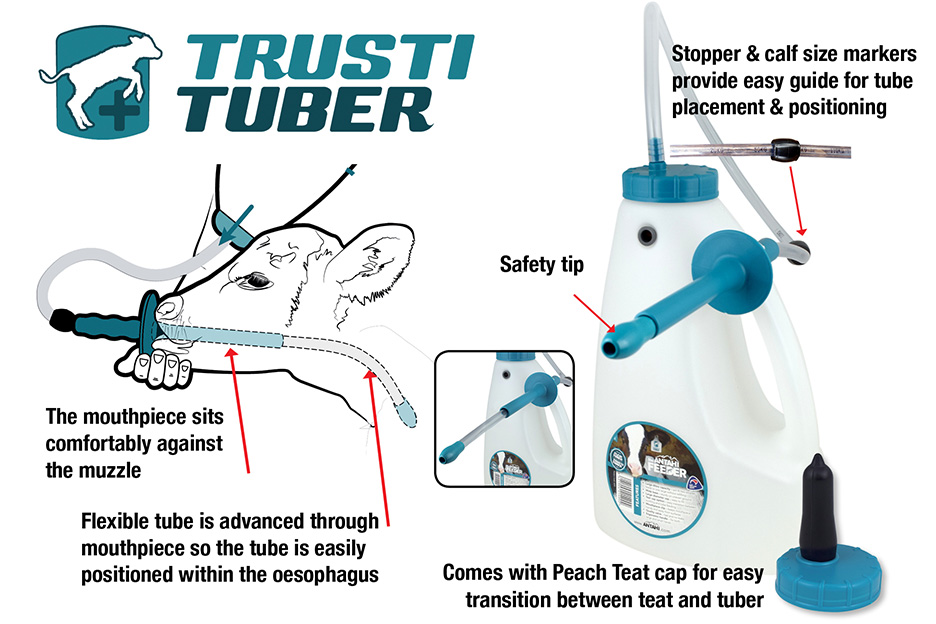 trusti tuber calf feeding 01