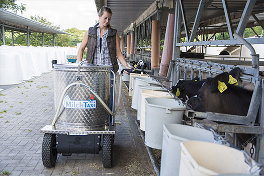 holm and laue milk taxi