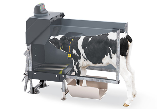 Auto Calf Feeder Daviesway02