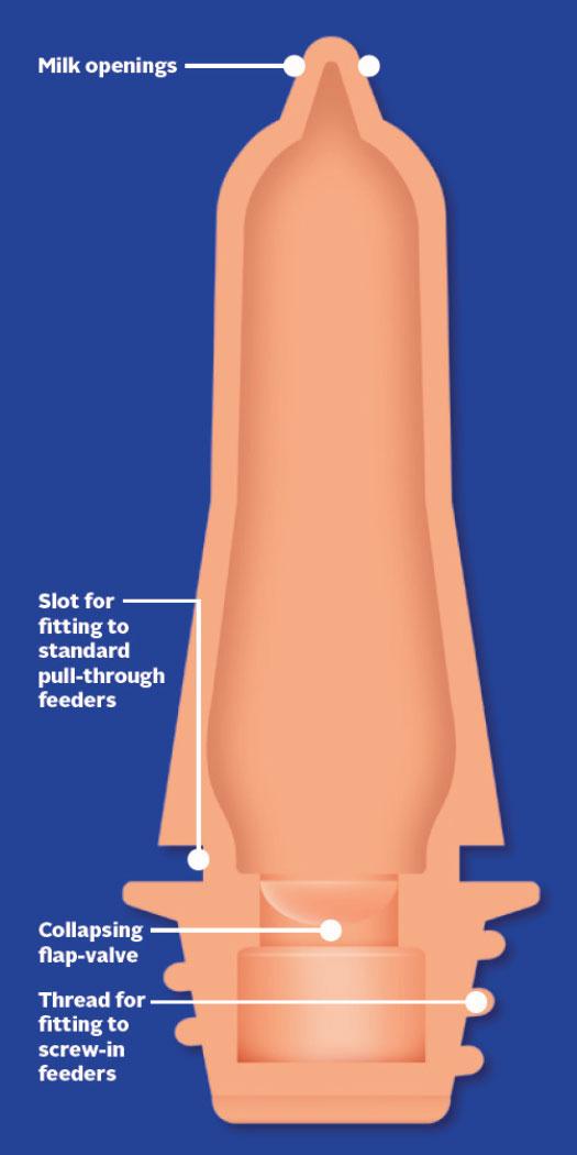 Peach Teat Pink Screw in Diagram