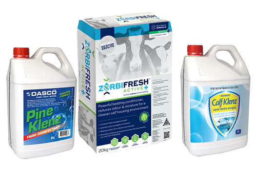 Calf Shed Hygiene