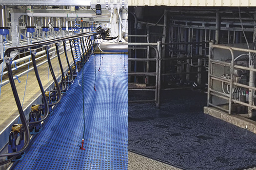 Dairy Matting