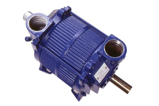 Water Ring Vacuum Pumps