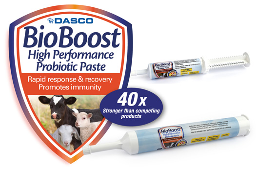 Bioboost probiotic