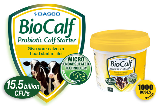 Biocalf probiotic