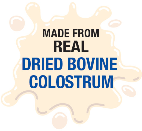 kwik start dried colostrum