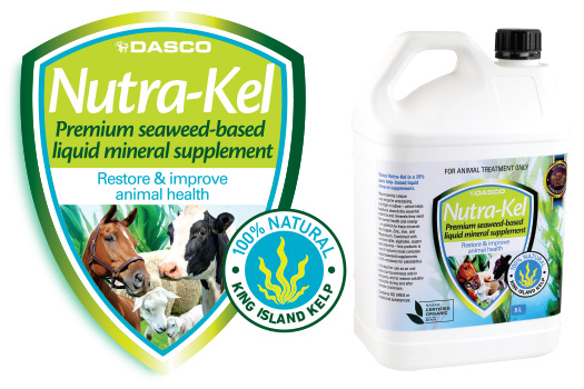 Nutra-Kel liquid seaweed supplement