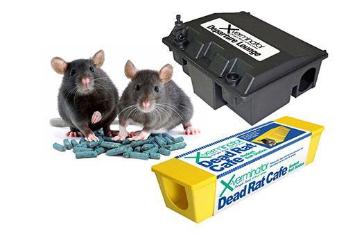 Rodent Control