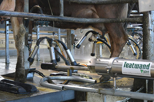 Teatwand Exact - Automatic Teat Spraying