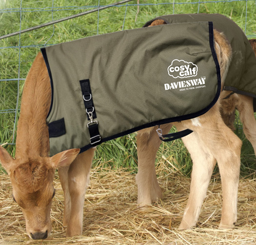 Cosy Calf Coats Straps Daviesway