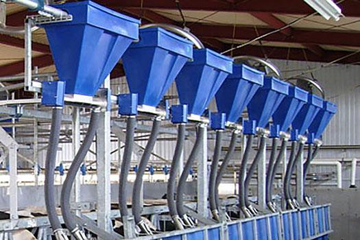 Feeding Systems