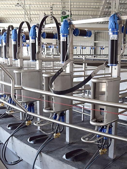 Rotary Dairy, Rotary Milking System, Daviesway Rotary, DairyKing