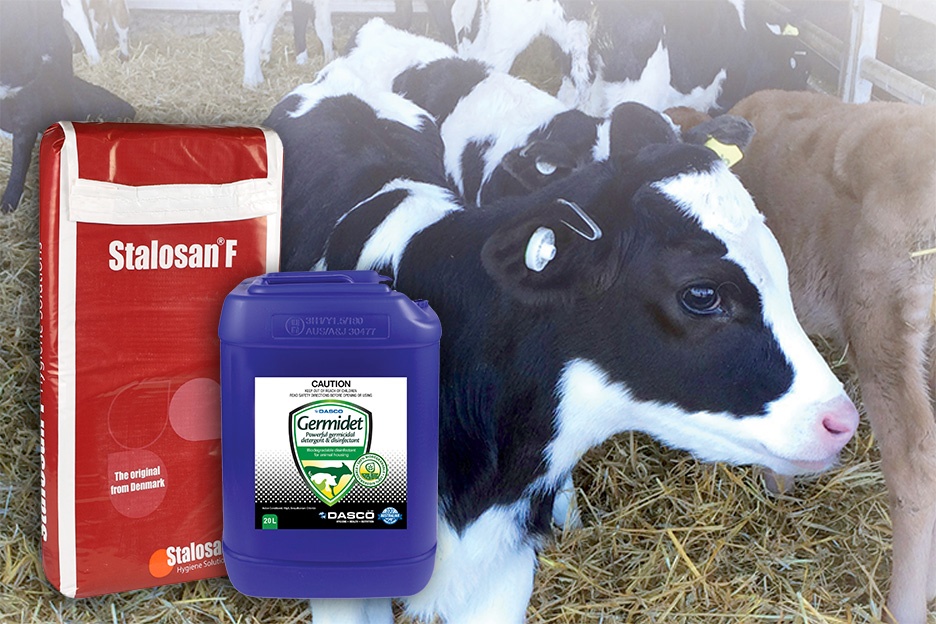 Calf Shed Hygiene, Stalosan F, Germidet Daviesway Daviesway