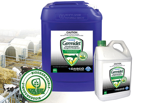 Germidet – Calf Shed Hygiene