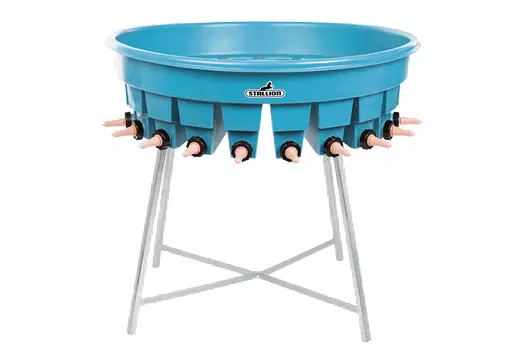 Stallion – Compartment 20 Teat Feeder