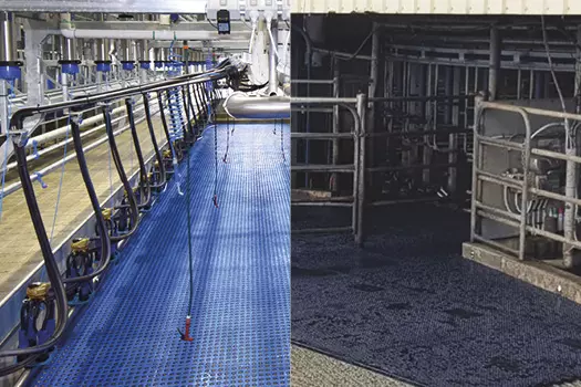 Dairy Matting