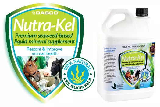 Nutra-Kel liquid seaweed supplement