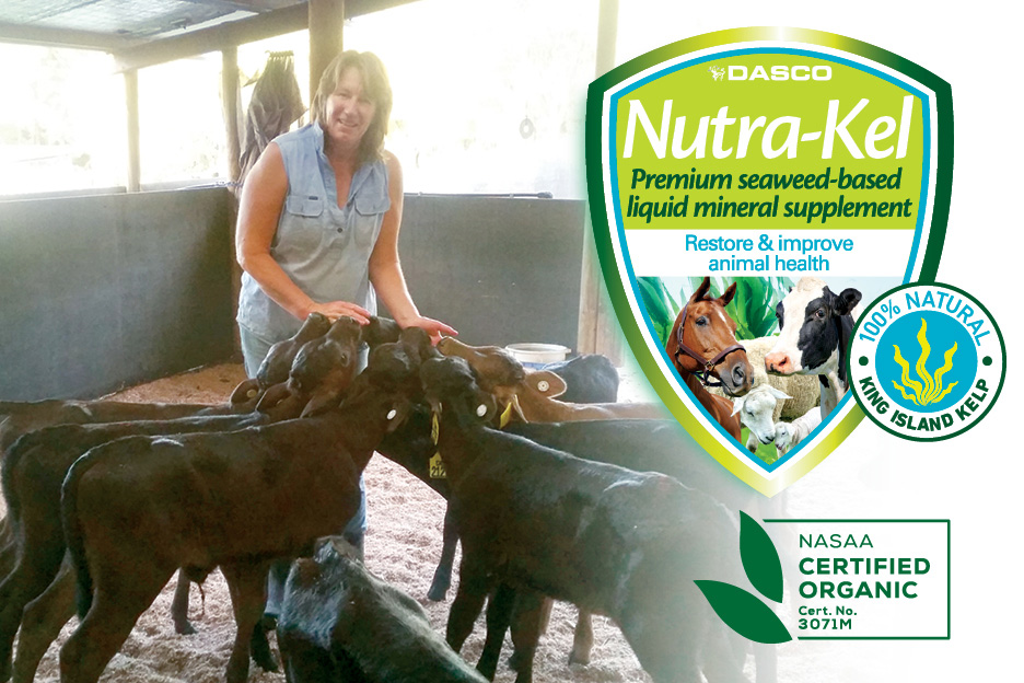 Nutra Kel feed liquid seaweed supplement