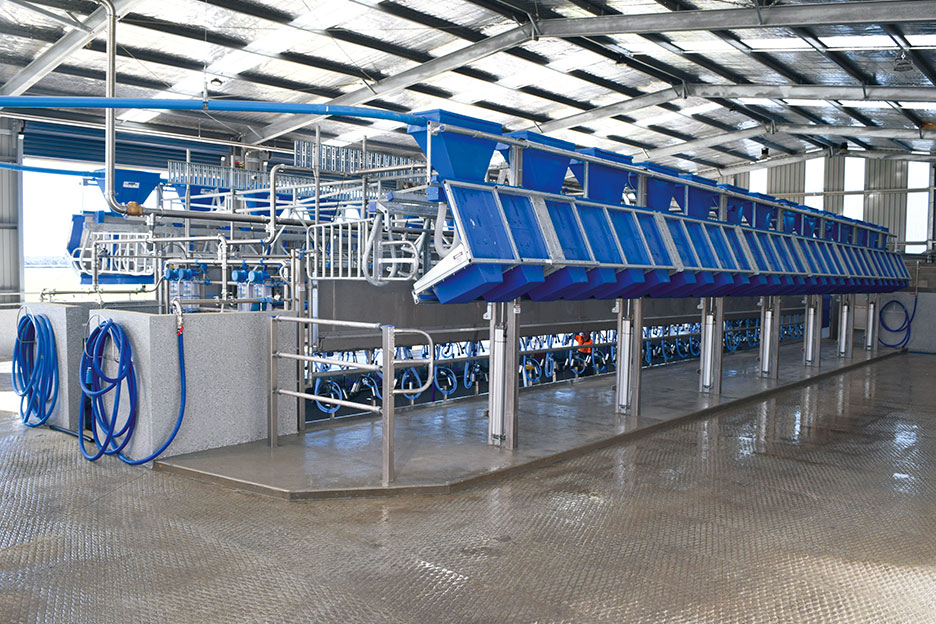 daviesway built rapid exit dairy