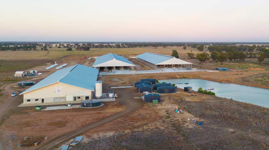 Walpole Farms Daviesway Rotary Dairy2