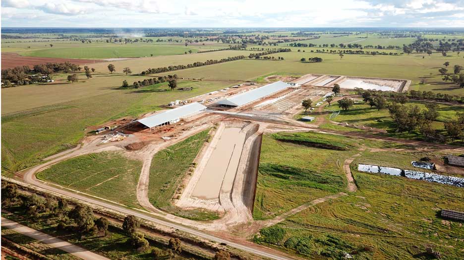 Walpole Farms Daviesway Rotary Dairy2