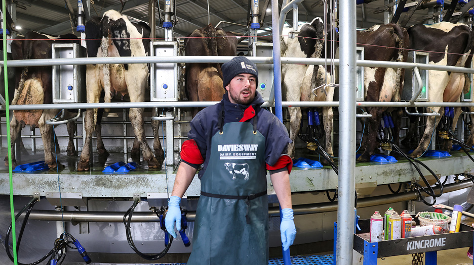 Barlow Dairy17