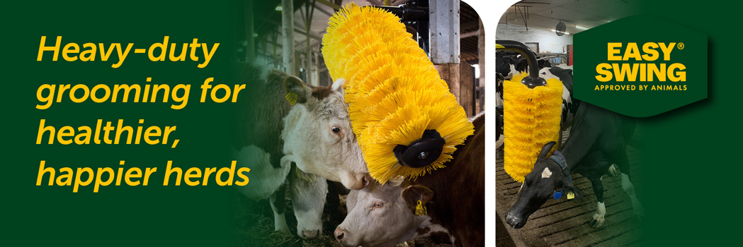 Easyswing Cattle Brushes