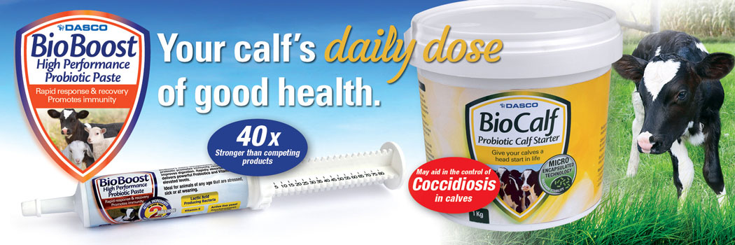 Bio Boost Calf Banner