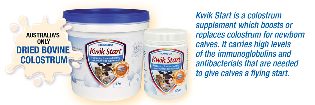 Kwik Start