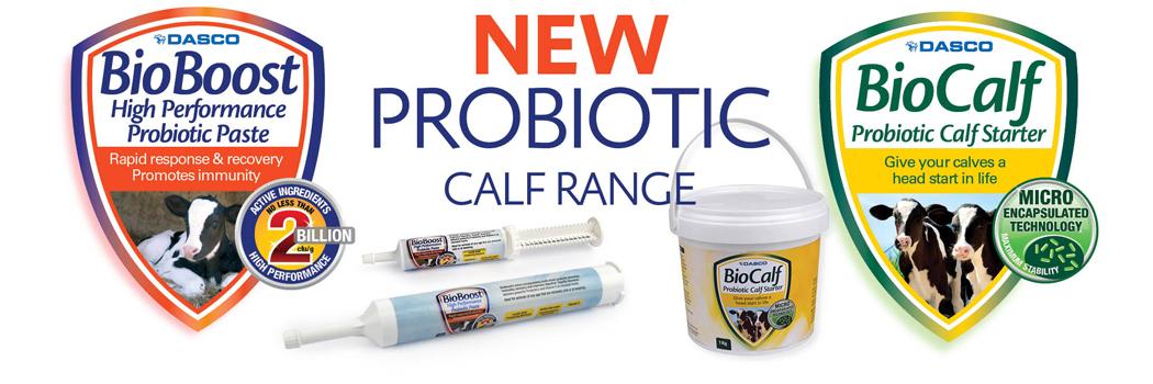 Bio Boost Calf Banner