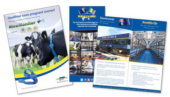 dairyking brochures web