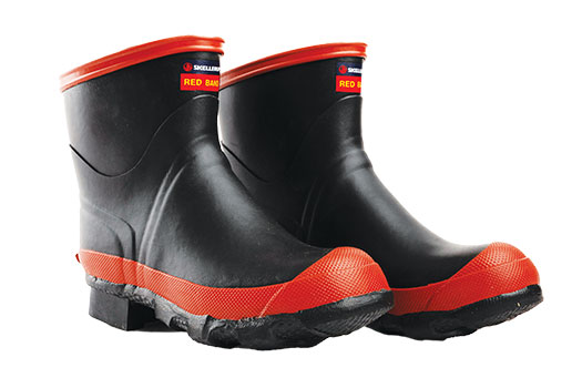 Red Band Low Gumboots