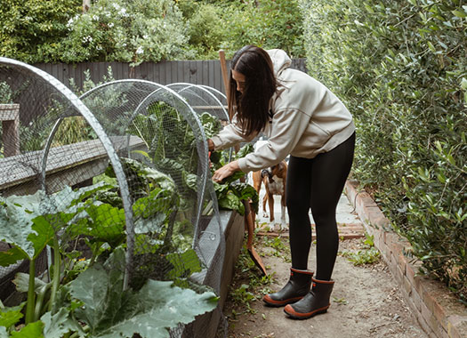 Red band Low Women garden
