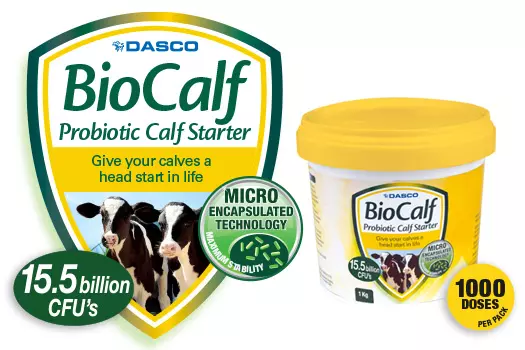 Biocalf probiotic