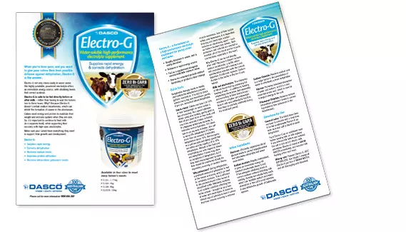 elecro g flyer