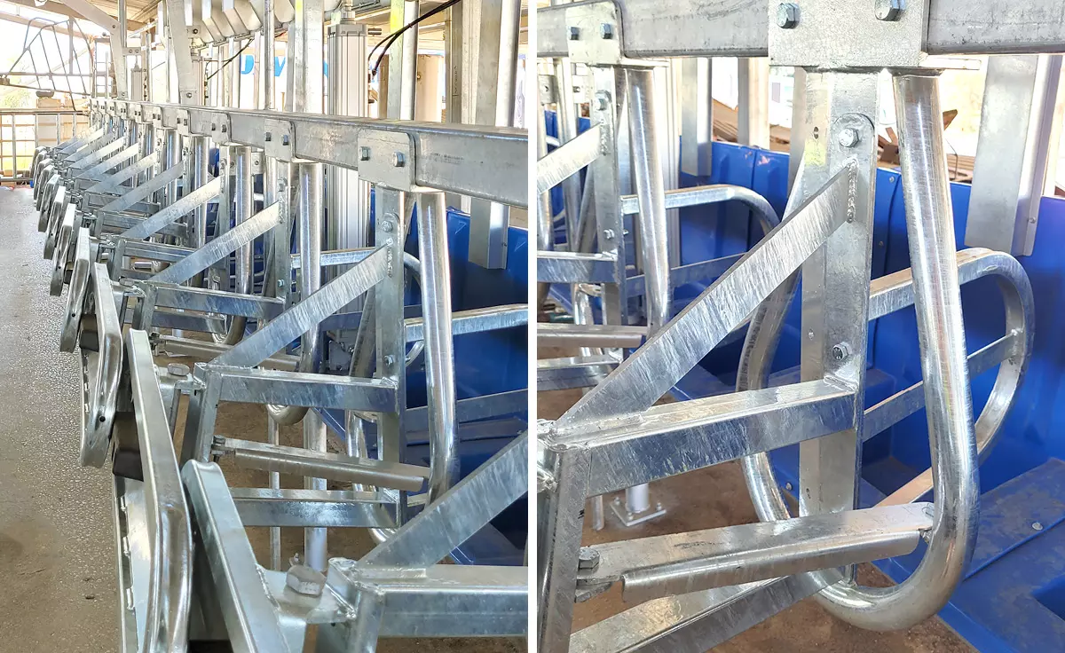 Herringbone Dairy Rapid Release 03