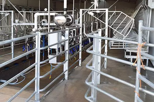 Bailing and Stallwork