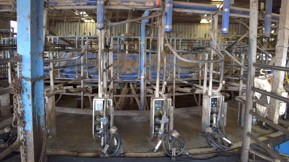 daviesway built rapid exit dairy